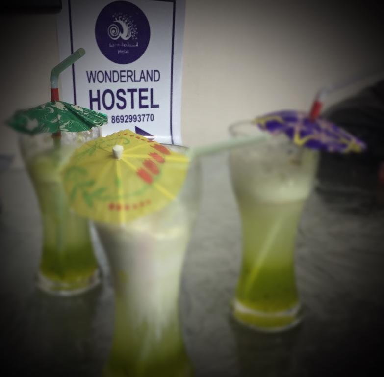 Wonderland Hostel Anjuna Zewnętrze zdjęcie